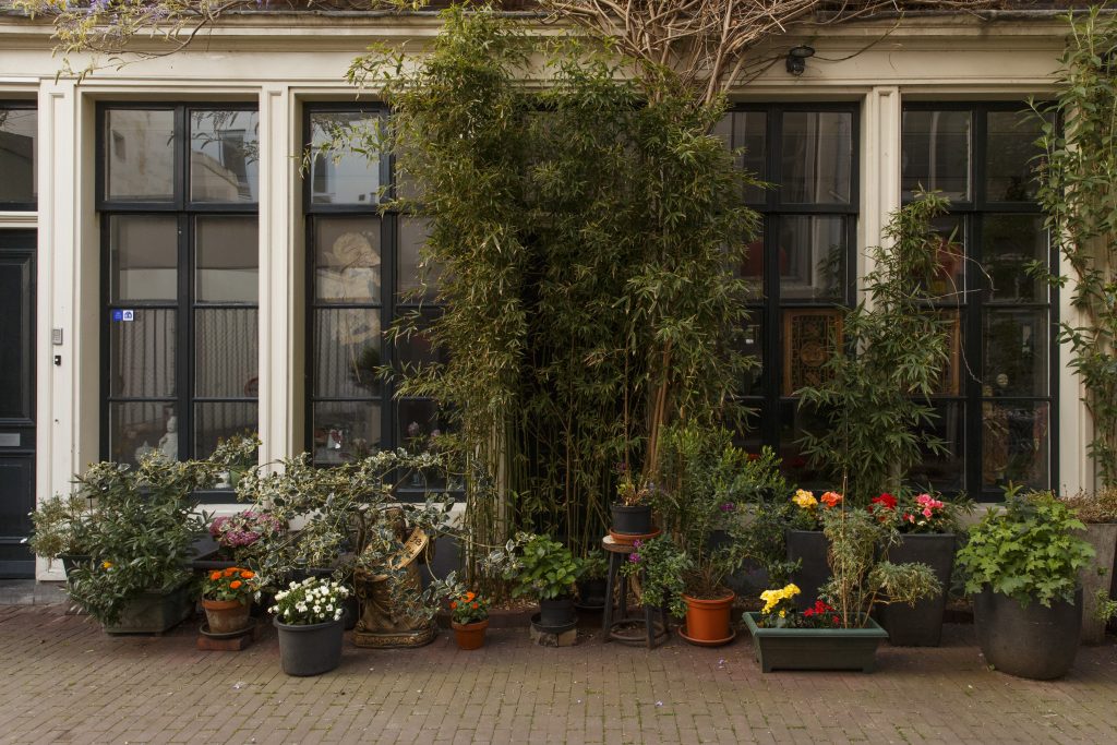 Green Light District - Maak de Spuistraat groen